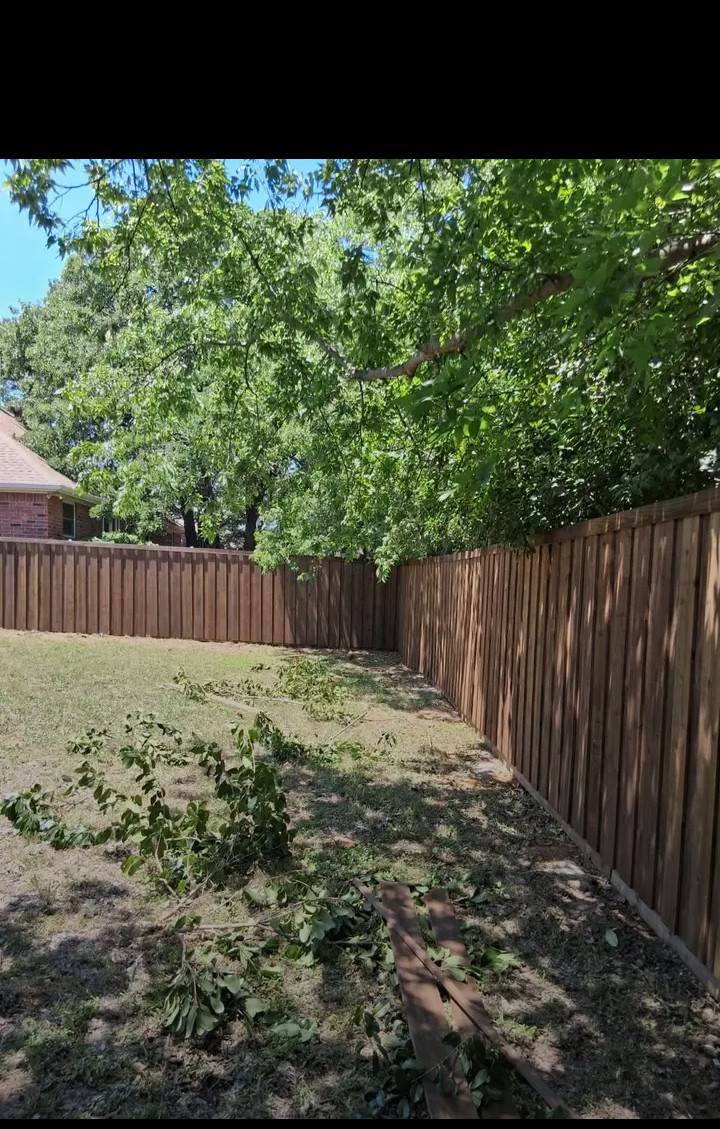 Backyard fence staining & sealing
